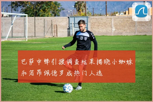 巴萨中锋引援调查结果揭晓小蜘蛛和若昂佩德罗成热门人选
