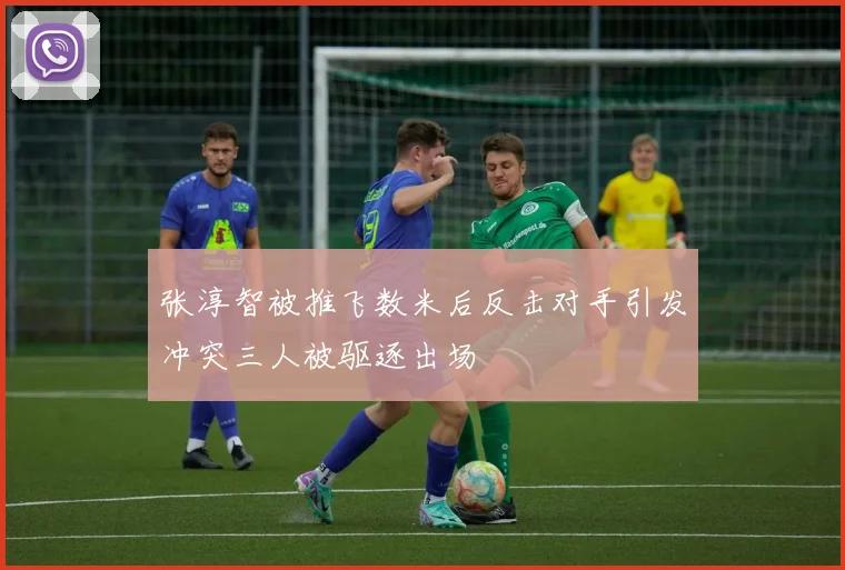 张淳智被推飞数米后反击对手引发冲突三人被驱逐出场